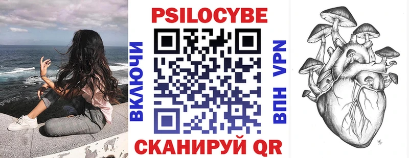 дарнет шоп  Киреевск  Псилоцибиновые грибы Magic Shrooms 