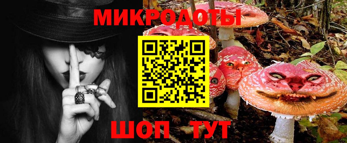 Псилоцибиновые грибы Psilocybine cubensis Киреевск
