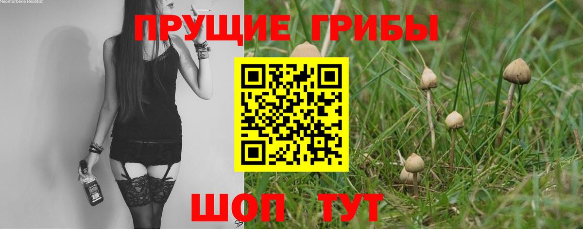Галлюциногенные грибы GOLDEN TEACHER  Вход с VPN  продажа наркотиков  Киреевск 